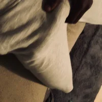 CPTBBDICK's Profile Pic