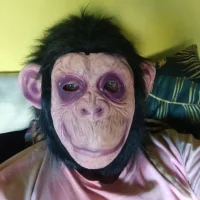 niepoprawny92's Profile Pic