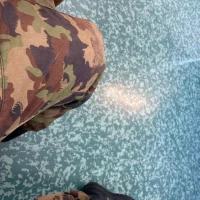 Yayafrench's Avatar Photo