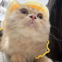 xixi_xixi_xixi Adlı Modelin Avatarı