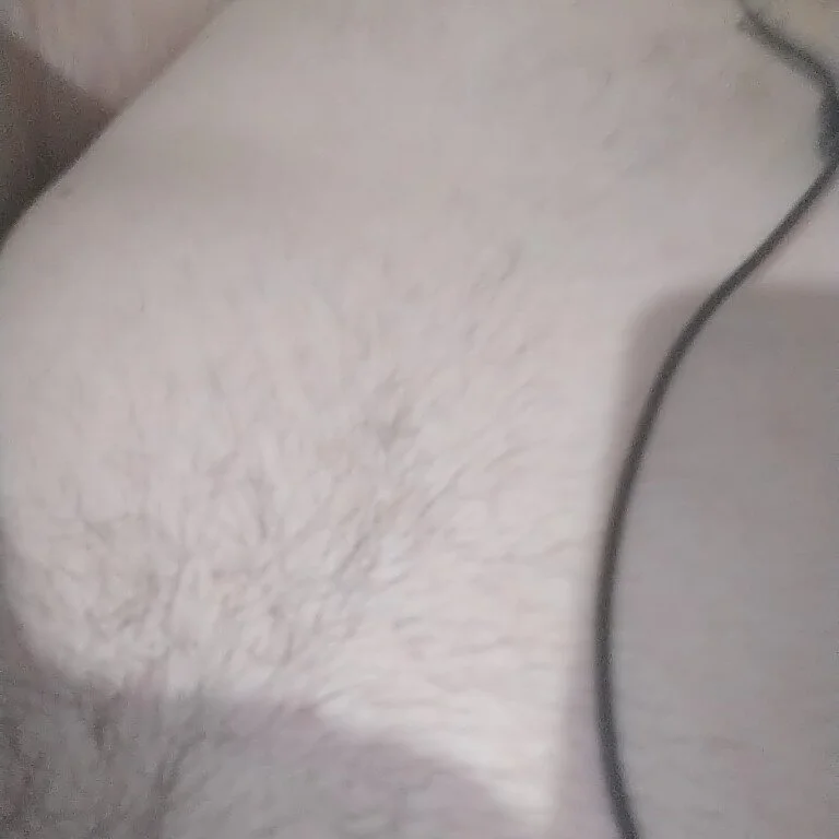 feliacogueiro profile photo