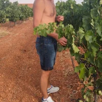 Imagem de avatar de zafiro19@xh