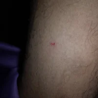 Gambar Profil Portable_Airlane