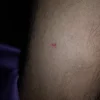 Sex Photo of Portable_Airlane