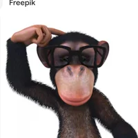 MaylinsKnight avatarbilde