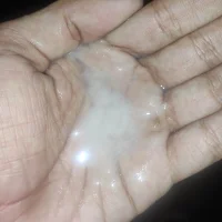 waste_fellow's Profile Pic
