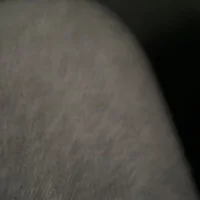 ninfetinha19li