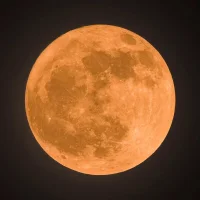 Lunas_prince Avatar-Bild