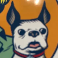 planethop Immagine Avatar