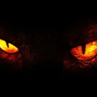 Avatar obrázek MaybeAlittleBitCrazy