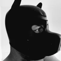 Photo de profil de biganalgape