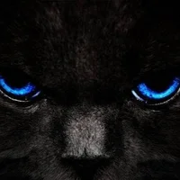 Foto del avatar de bountyman_