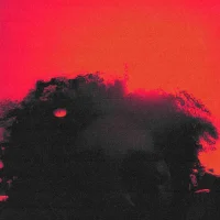 kngkai's Avatar Pic
