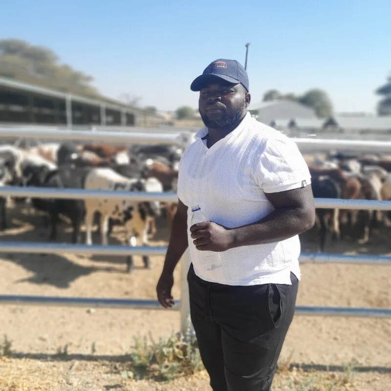 odibo8267 profile photo