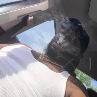 RichDick101's Profilna slika