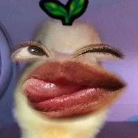 DooKatius's Profile Pic