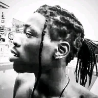 BlackdickModel