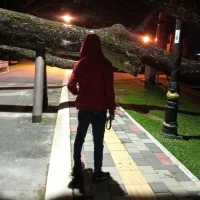 BisexMalays profilbillede