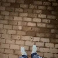 rediMilano's Profile Pic