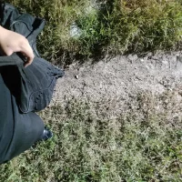 anonimo117_'s Profile Pic