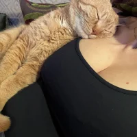 huge_tits52s profilbillede