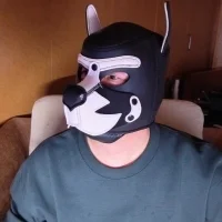 Imagem de avatar de kuma_nomi