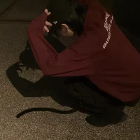 Gambar Profil nachi_chaos