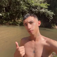 Fox_kesy