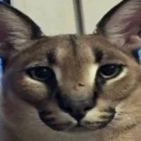 that_alex_jj_337's Avatar Pic