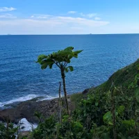 Klyan_Jr-8のアバター写真