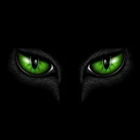 Image d’avatar de X_anonymus_s