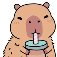 Foto do avatar de LiLCapybara