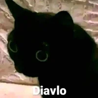 Elgarcia123: изображение аватарки