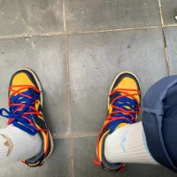 Chopper1606 Immagine Avatar