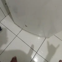 Profilová fotka Cabelinhorj