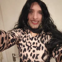 dssex