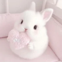 SK_TuTun Avatar kuva