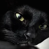 Fan-de-CoralineKam1: изображение аватарки
