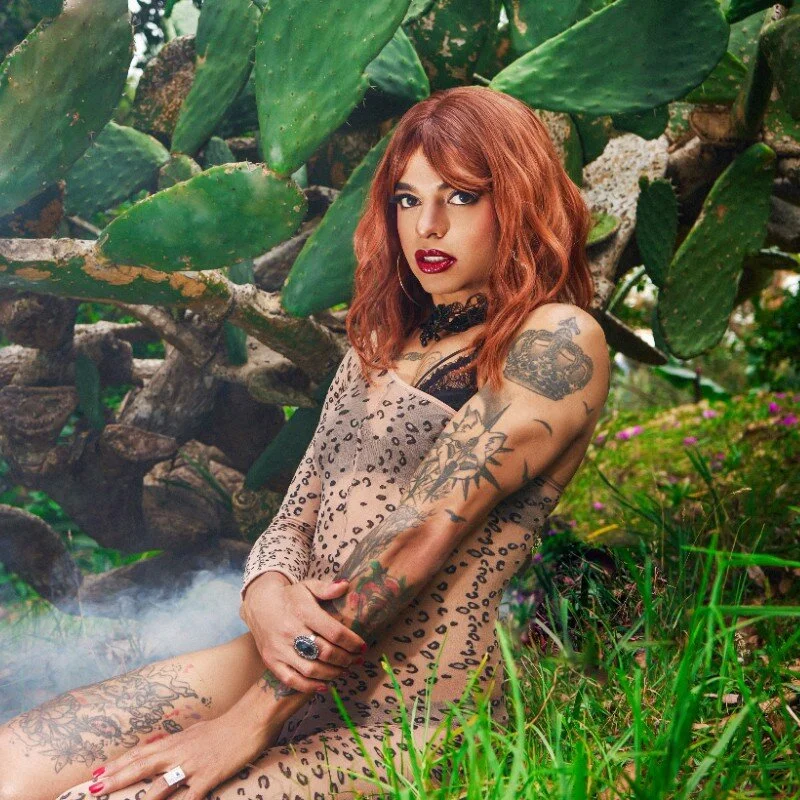 Alexajhonss profile photo