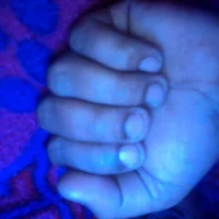 Hollywood_Dick 头像图片