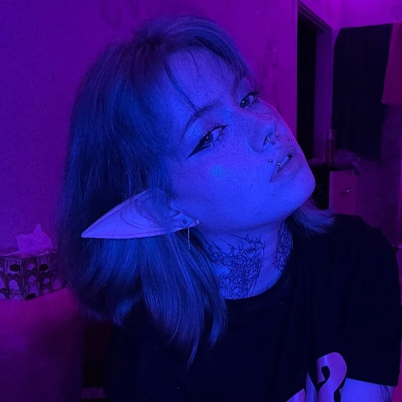 plombeer profile photo