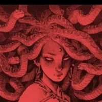 Medusa311