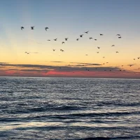 sexualtension profiképe