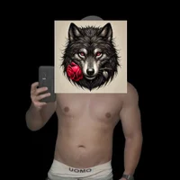 MisteryWolfs profilbillede