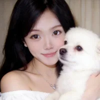 Cindy-dd 头像图片