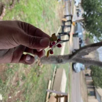 Te_cache098's Profile Pic