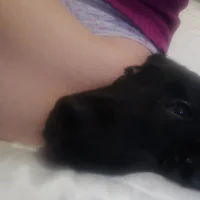 Realcuouple's Profile Pic