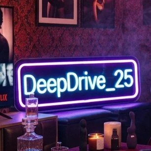 DeepDrive_25 profile photo