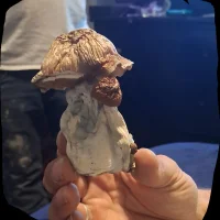 Image d’avatar de Kloudkocksmoke