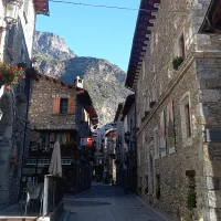 PlightedYale Poză avatar